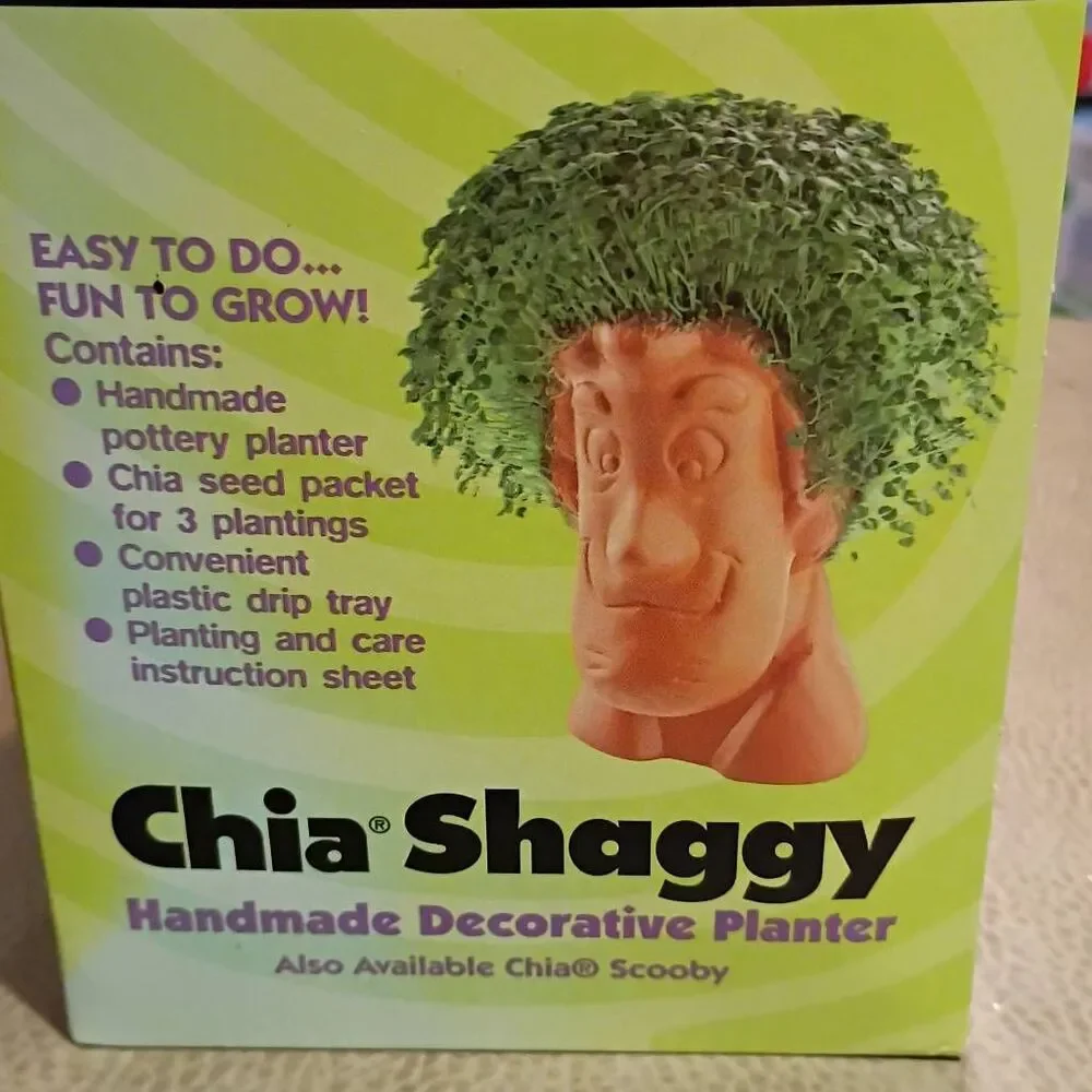 NWT Cartoon Network Scooby Doo Chia Shaggy